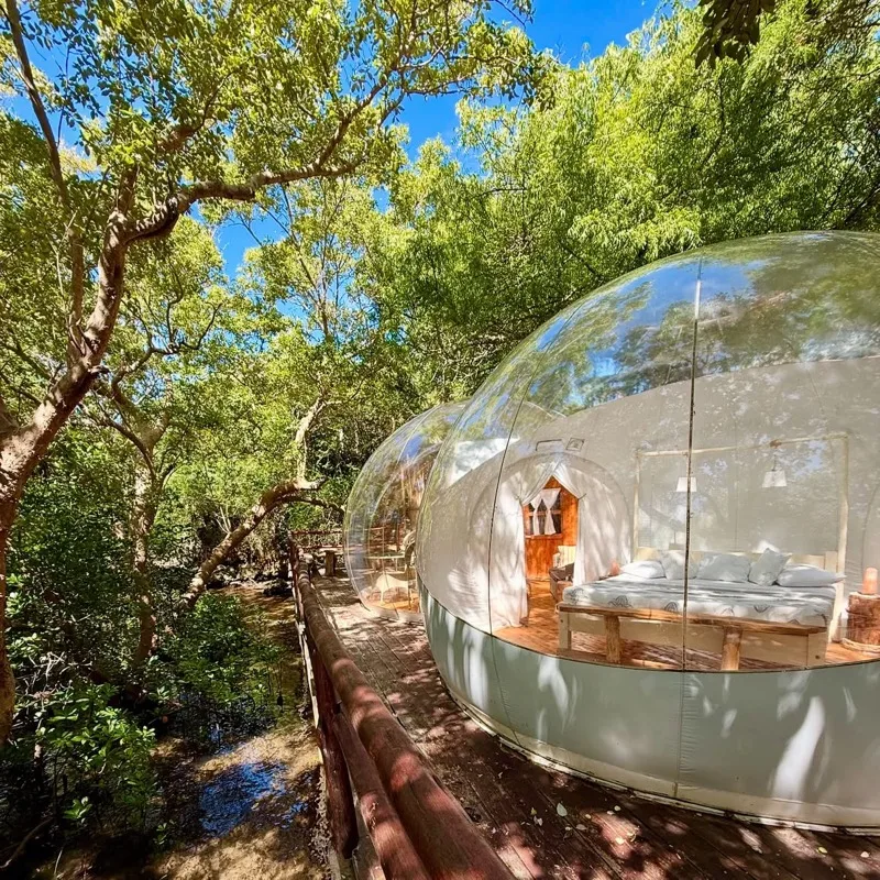 The Baobab Bubble Lodge glowing warmly under a night sky at the edge of the mangrove forest