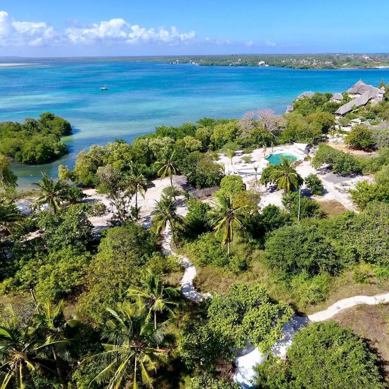 Mangroves surrounding The Rock and Sea at Mida Creek