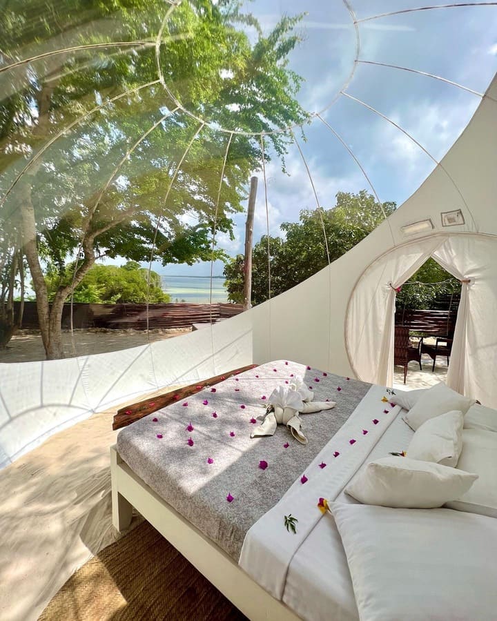 Lagoon bubble lodge