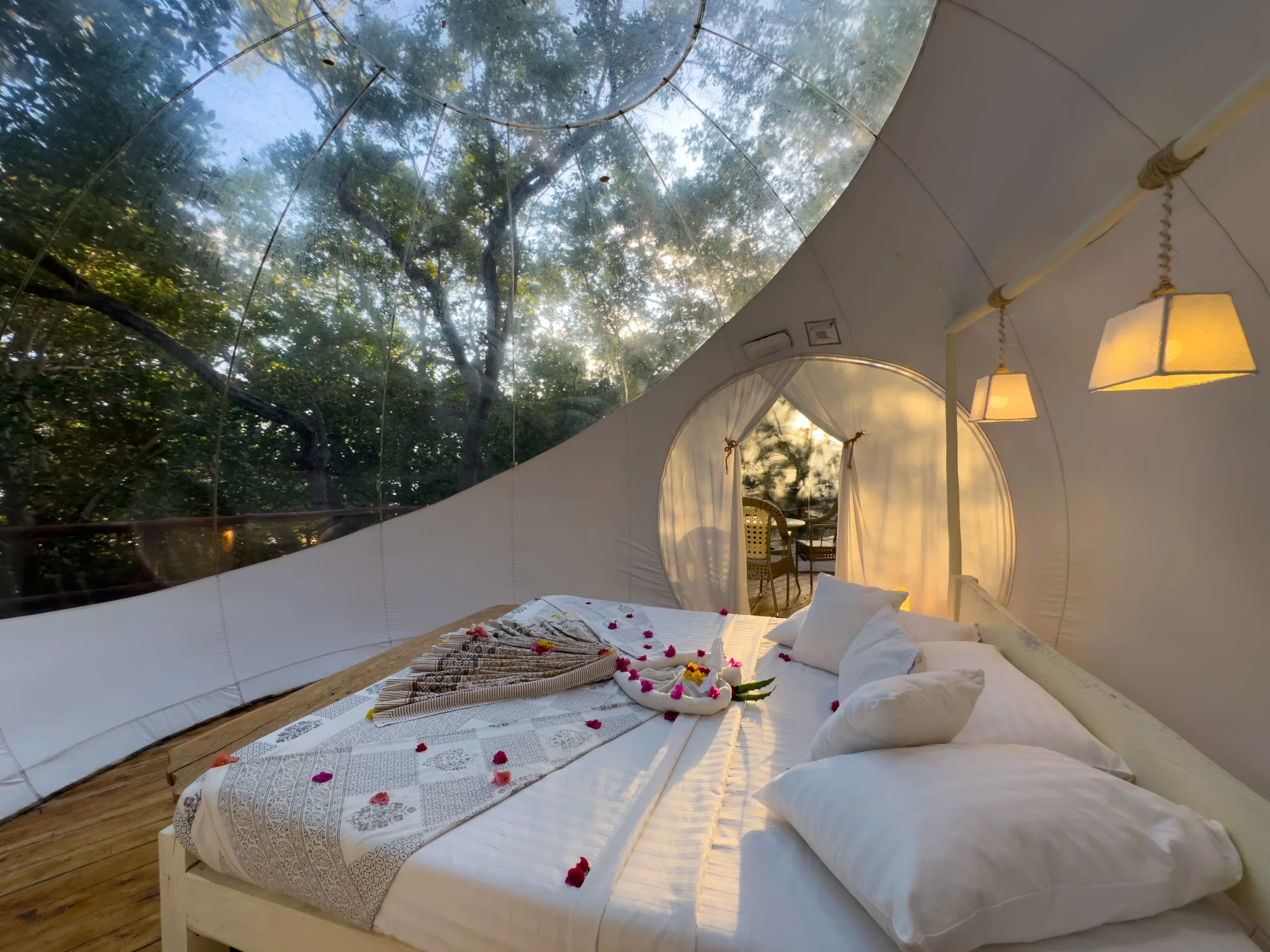 Morning light in the baobab bubble lodge